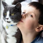 autistic-boy-saved-by-his-cat-tara