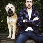 dog-owner-more-attractive-than-cat-owner6