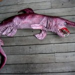 amazing-animals-goblin-shark-15