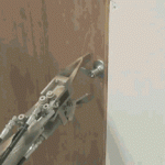 hilarious-gif-videos4