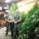 $15 Million Worth of Pot Plants Seized Near Bluefield, WV