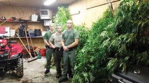 pot-plants-seized-in-bluefield-wv