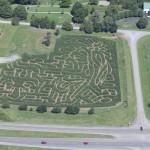 corn-maze-in-tazwell-county2