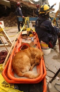 Andrea Booher / FEMA News Photo