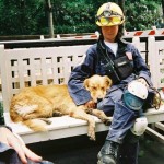 last-surviving-rescue-dog-from-911-3