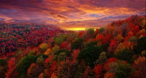 upstate-new-york-listed-as-best-place-to-view-fall-colors