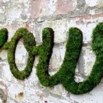 cool-moss-DIY-project10