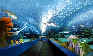 south carolina aquarium expansion