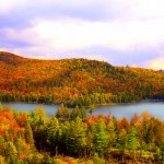 This Stunning Video Of New York Will Make Everyone Want to Move Here