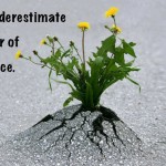 persistence-1