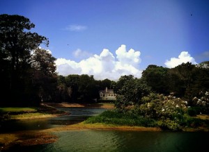 Skidaway Island