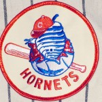 charlotte hornets baseball