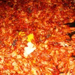 New Orlean’s Championship Crawfish Boil Promises Over 20,000 Pounds of Mudbugs