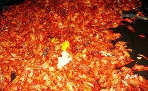 new-orleans-crawfish-boil