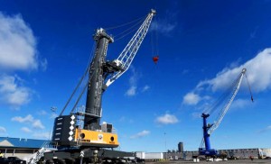 port of albany crane