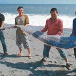 largest oarfish