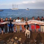 largest oarfish ever caught