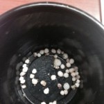 woman finds 50 pearls in nashville restaurant