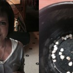 woman finds 50 pearls in nashville restaurant2