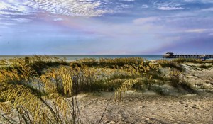 tybee island trail