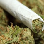 A New Company in Syracuse Wants To Start Giving Away Free Marijuana