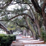 Light Snow Expected Sunday Morning For The Charleston Region