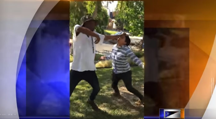 Pokemon Go Fist-Fight Caught on Camera