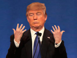 New Study Finds Donald Trump’s Hands Shrinking Due To Increased Stress