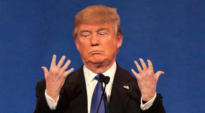 New Study Finds Donald Trump’s Hands Shrinking Due To Increased Stress