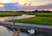 Mount Pleasant Just Opened Their New 3,200-Foot-Long Bird Watching Boardwalk