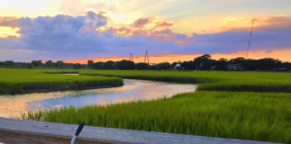 Mount Pleasant Just Opened Their New 3,200-Foot-Long Bird Watching Boardwalk