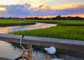 Mount Pleasant Just Opened Their New 3,200-Foot-Long Bird Watching Boardwalk