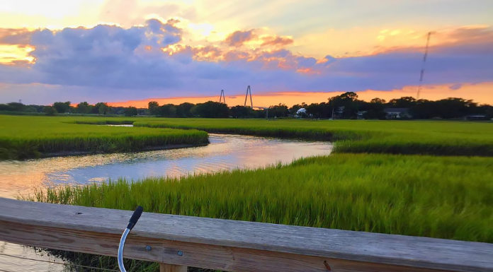 Mount Pleasant Just Opened Their New 3,200-Foot-Long Bird Watching Boardwalk