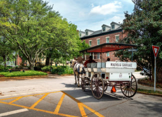 Savannah Has Just Been Ranked As One Of The Friendliest Cities in The World