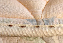 Baltimore Is Now Officially The Buggiest City In America