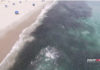 Epic Drone Video of Florida’s Annual Mullet Run