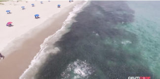Epic Drone Video of Florida’s Annual Mullet Run
