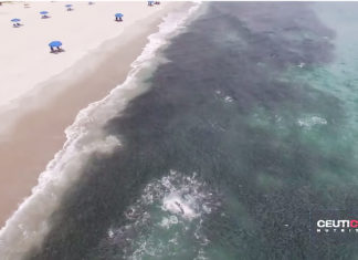 Epic Drone Video of Florida’s Annual Mullet Run