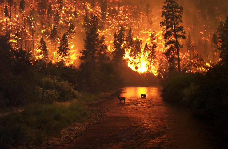 National Weather Service Issues Wildfire Warning For Bluefield Region