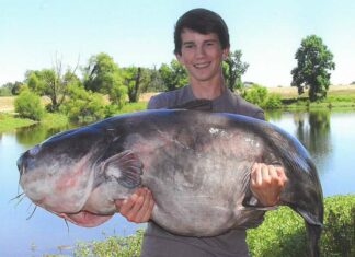 Calling All Anglers: Free Fishing Day Is Coming To Tennessee This Weekend