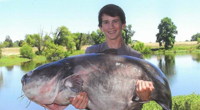 Calling All Anglers: Free Fishing Day Is Coming To Tennessee This Weekend