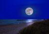 Charleston Is About To Witness A Rare ‘Blue Supermoon’ Dance With Saturn Tomorrow Night