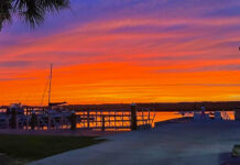 Chilling Discovery on Johns Island: Vehicle with Deceased Passenger Found Underwater