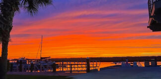 Chilling Discovery on Johns Island: Vehicle with Deceased Passenger Found Underwater