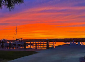 Chilling Discovery on Johns Island: Vehicle with Deceased Passenger Found Underwater