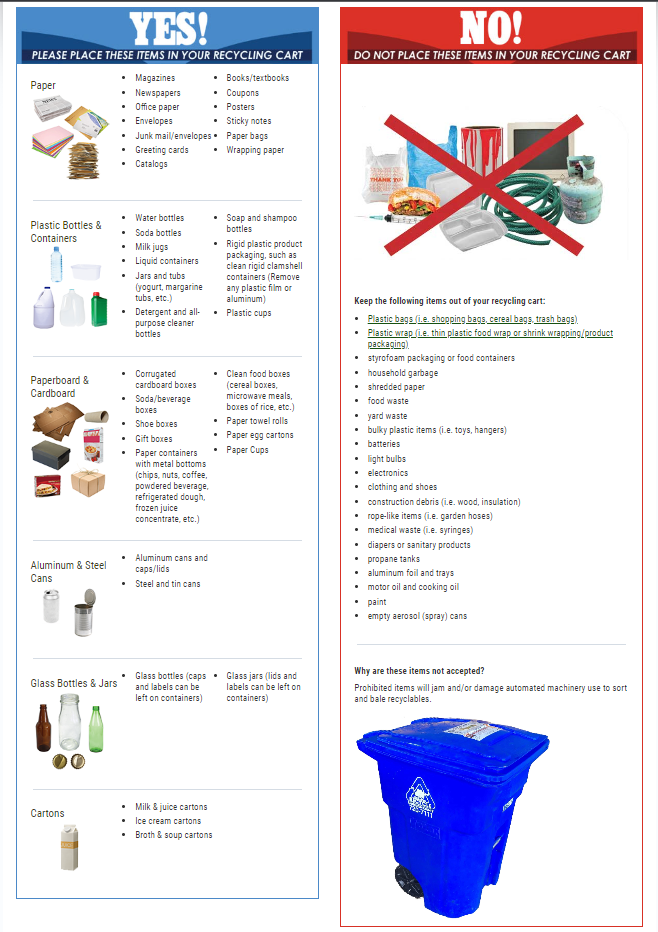 Charleston's EcoFriendly Revolution A Guide to Recycling in the Holy City