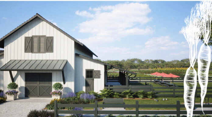 Goose Creek Community Just Broke Ground on The Future of Sustainable Living in Charleston