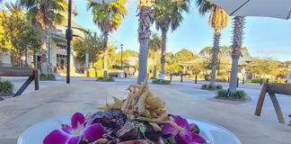 Madre Mercado: The Anticipated New Centerpiece of Hilton Head’s Dining Scene