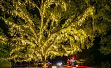 Light Up the Night: Discover the Magic of James Island’s Holiday Festival of Lights