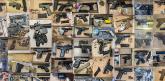 Unprecedented Sweep: 41 Firearms Confiscated in North Charleston